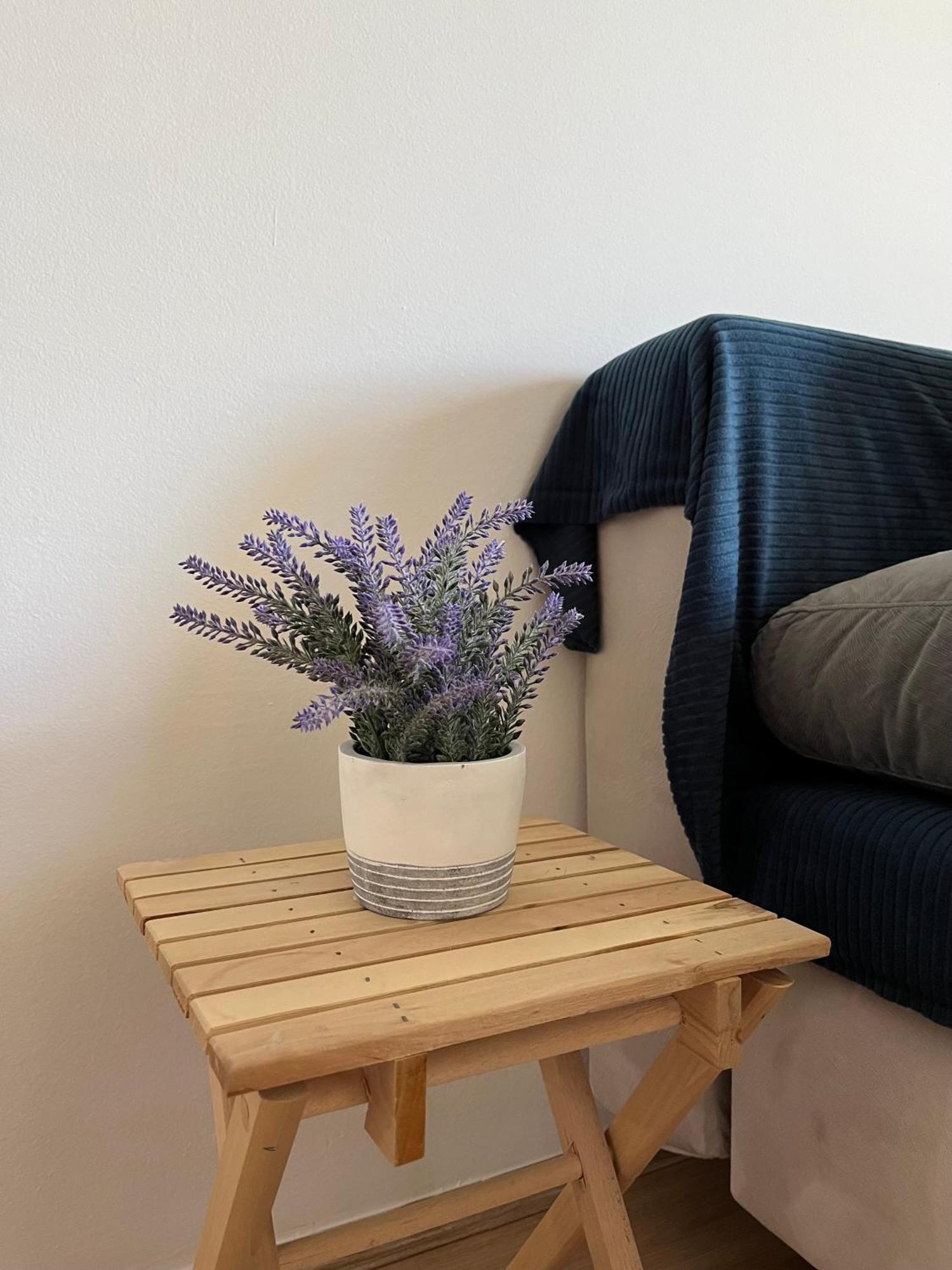 Apartment Vera With Free Garage Novi Sad Ngoại thất bức ảnh